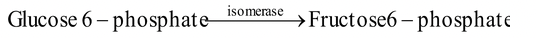 Nomenclatures of Enzymes